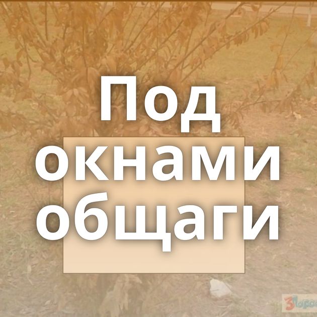 Под окнами общаги