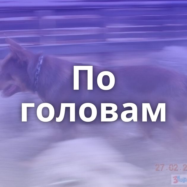 По головам