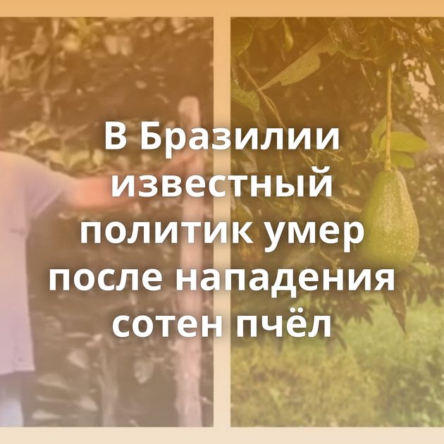 В Бразилии известный политик умер после нападения сотен пчёл