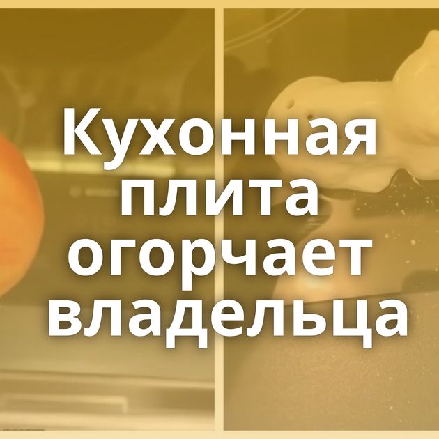 Кухонная плита огорчает владельца