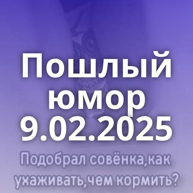 Пошлый юмор 9.02.2025