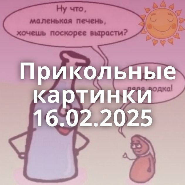 Прикольные картинки 16.02.2025