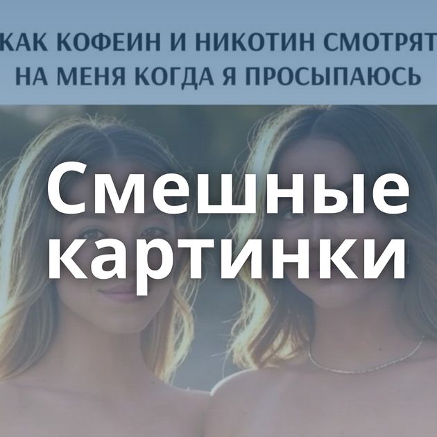 Смешные картинки