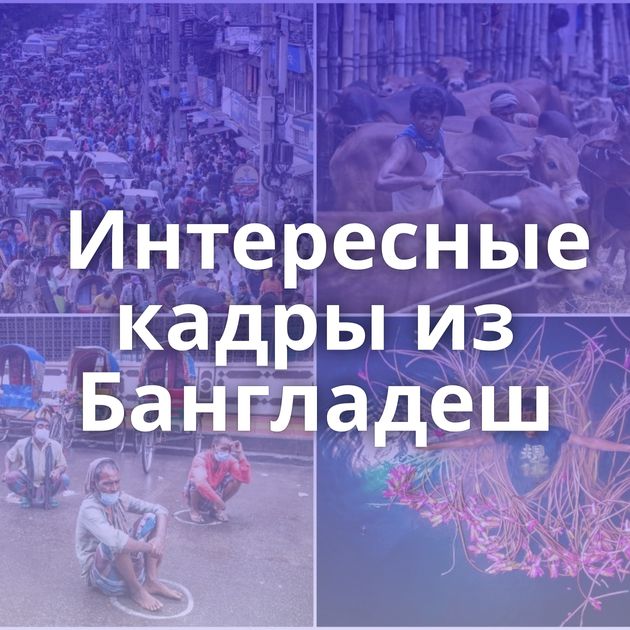 Интересные кадры из Бангладеш