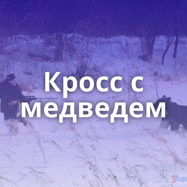 Кросс с медведем
