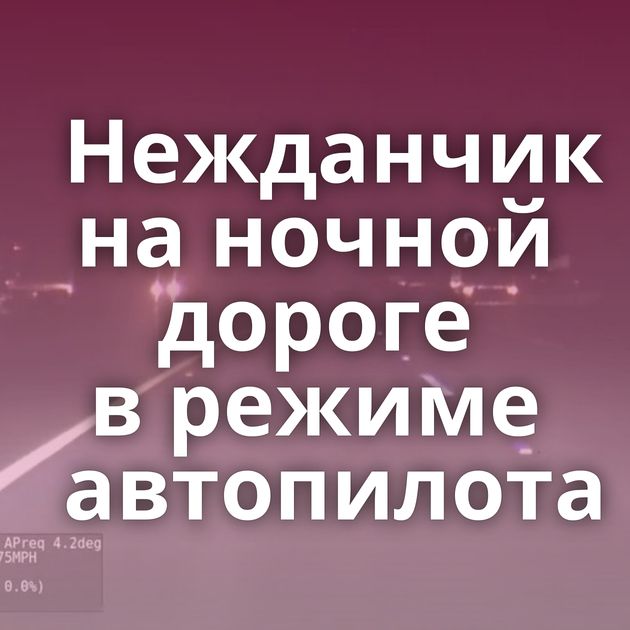 Нежданчик на ночной дороге в режиме автопилота