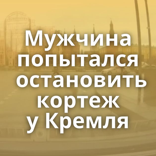 Мужчина попытался остановить кортеж у Кремля