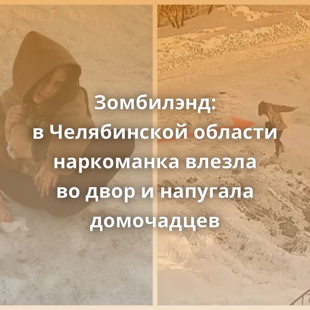 Зомбилэнд: в Челябинской области наркоманка влезла во двор и напугала домочадцев