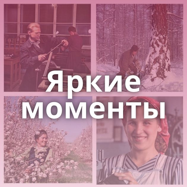 Яркие моменты