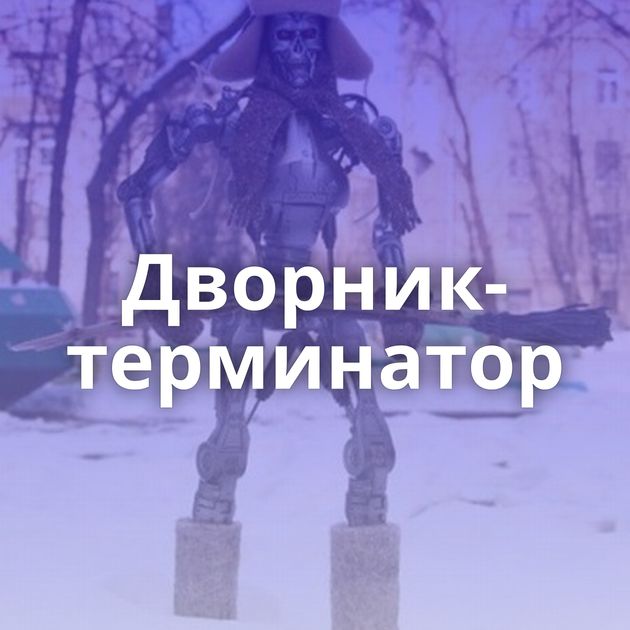 Дворник-терминатор