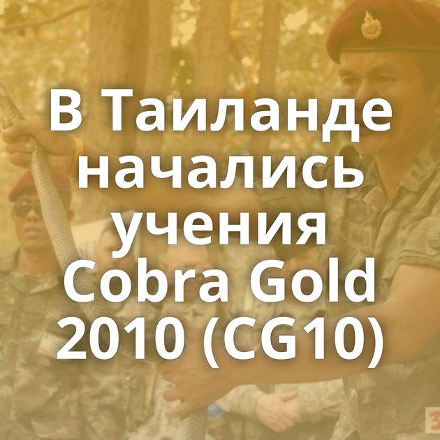 В Таиланде начались учения Cobra Gold 2010 (CG10)