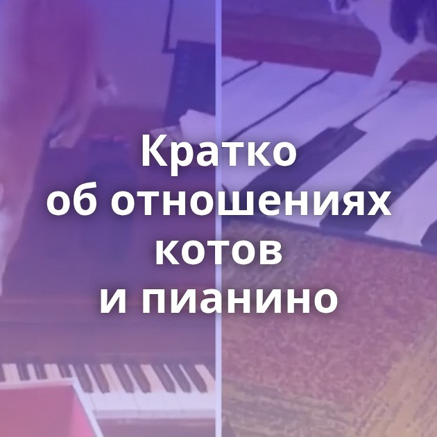 Кратко об отношениях котов и пианино