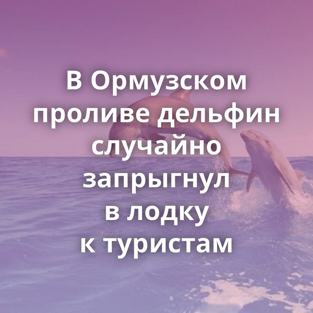 В Ормузском проливе дельфин случайно запрыгнул в лодку к туристам