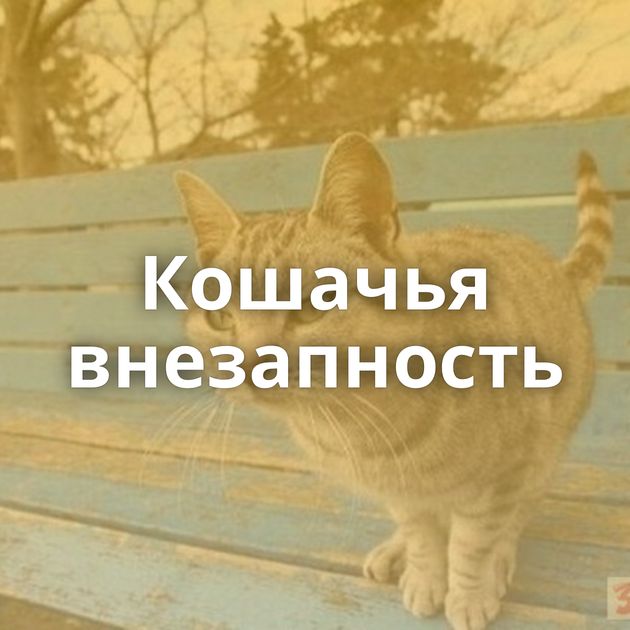 Кошачья внезапность