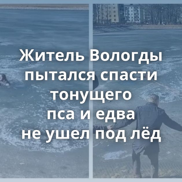 Житель Вологды пытался спасти тонущего пса и едва не ушел под лёд