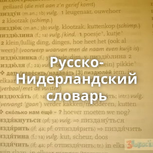 Русско-Нидерландский словарь