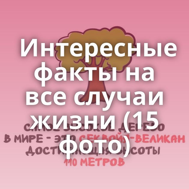 Интересные факты на все случаи жизни (15 фото)
