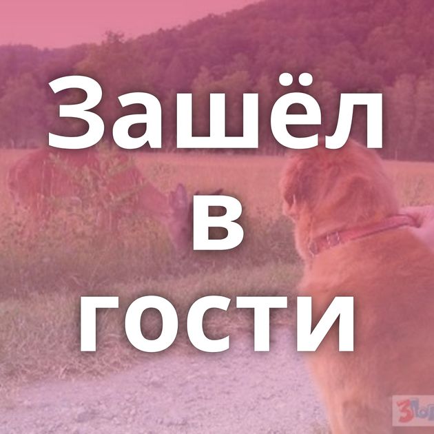 Зашёл в гости