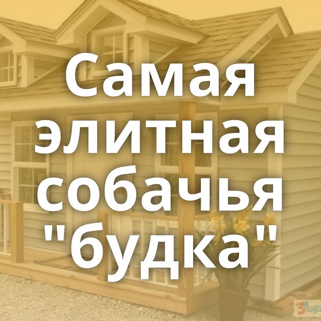 Самая элитная собачья 