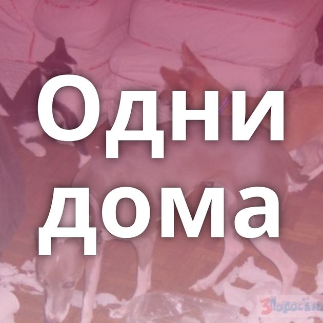 Одни дома