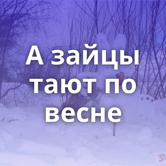 А зайцы тают по весне