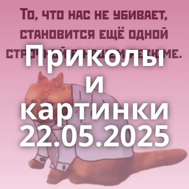 Приколы и картинки 22.05.2025