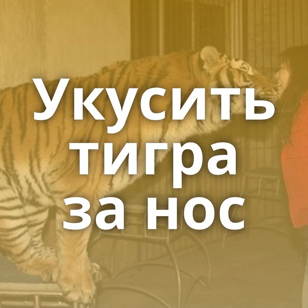 Укусить тигра за нос