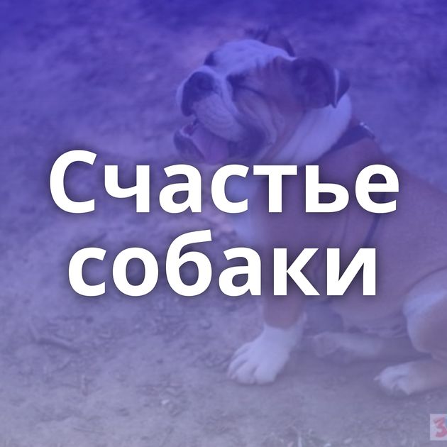 Счастье собаки