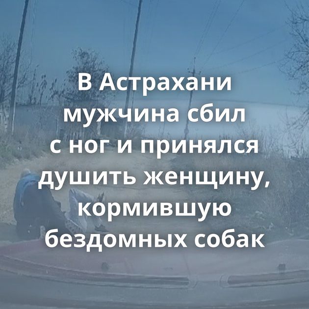 В Астрахани мужчина сбил с ног и принялся душить женщину, кормившую бездомных собак