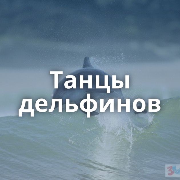 Танцы дельфинов