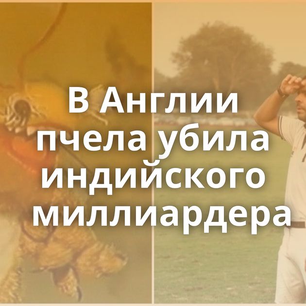 В Англии пчела убила индийского миллиардера