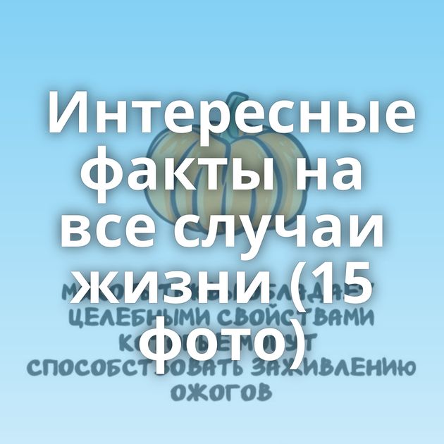Интересные факты на все случаи жизни (15 фото)