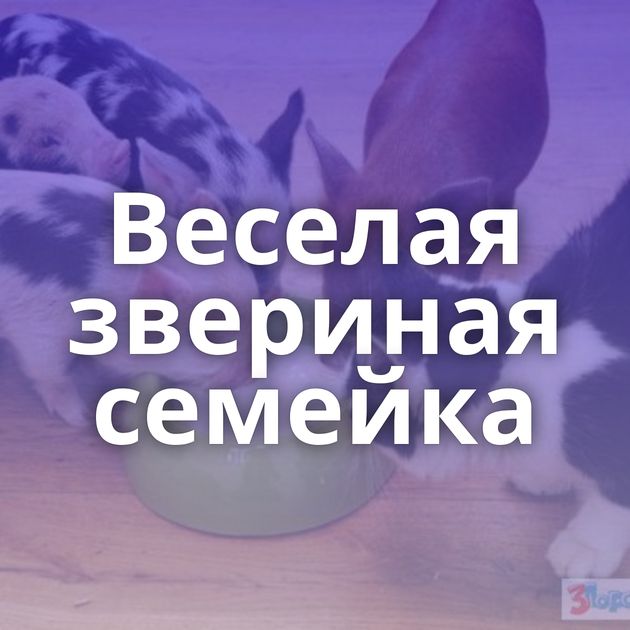 Веселая звериная семейка