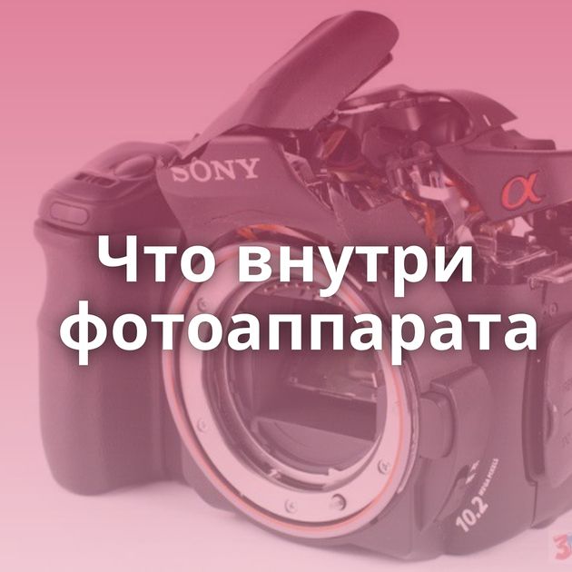 Что внутри фотоаппарата