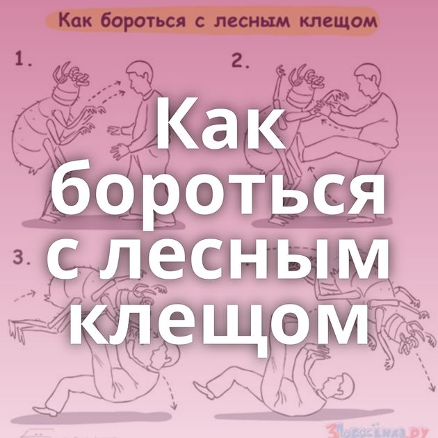Как бороться с лесным клещом