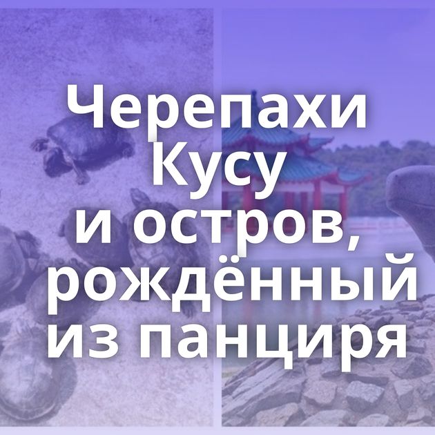 Черепахи Кусу и остров, рождённый из панциря