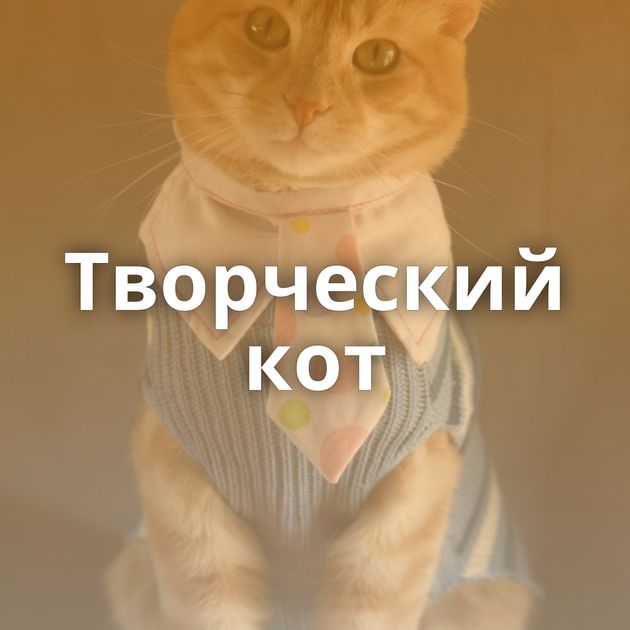 Творческий кот