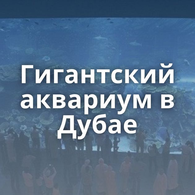 Гигантский аквариум в Дубае