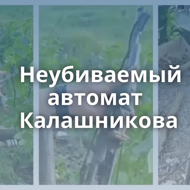 Неубиваемый автомат Калашникова