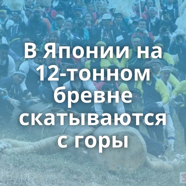 В Японии на 12-тонном бревне скатываются с горы