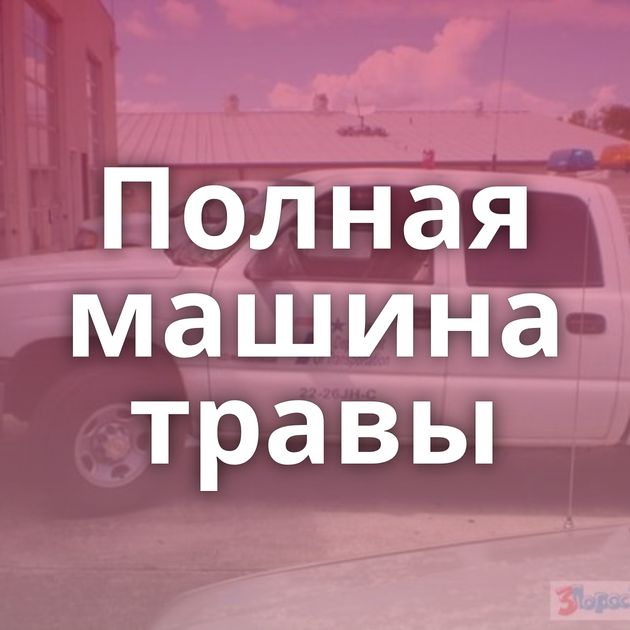 Полная машина травы