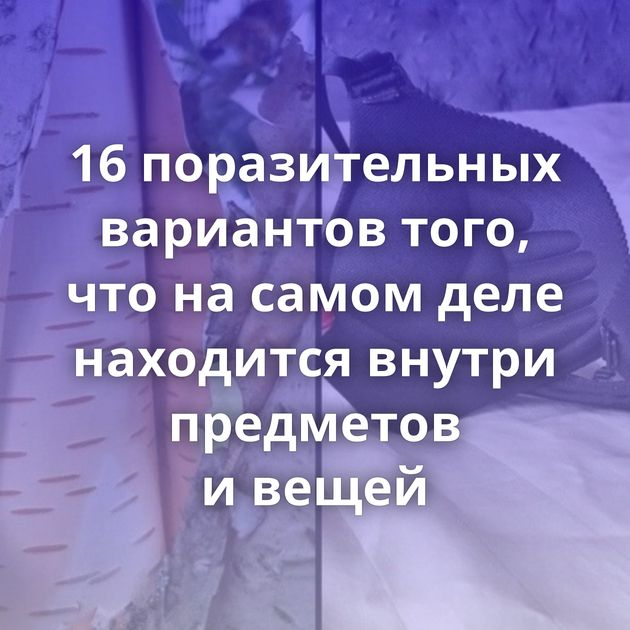 16 поразительных вариантов того, что на самом деле находится внутри предметов и вещей