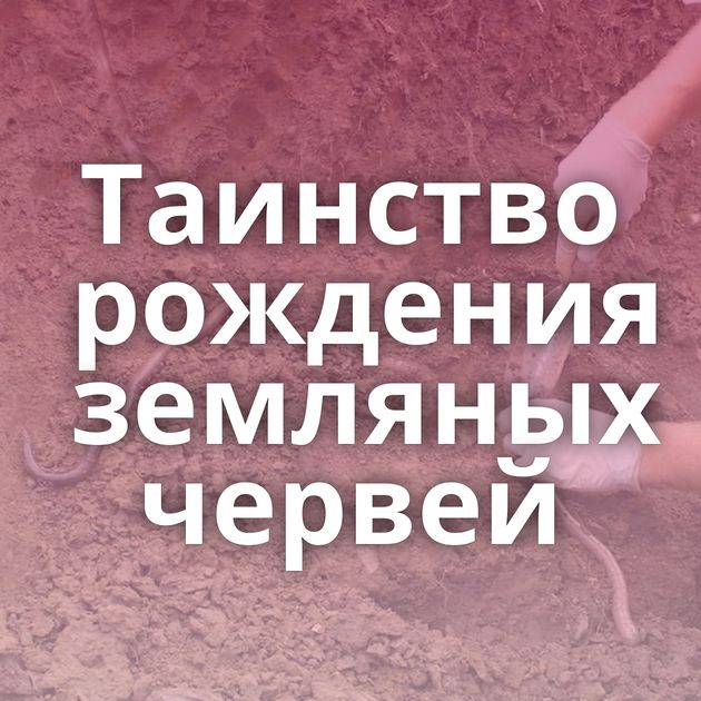 Таинство рождения земляных червей