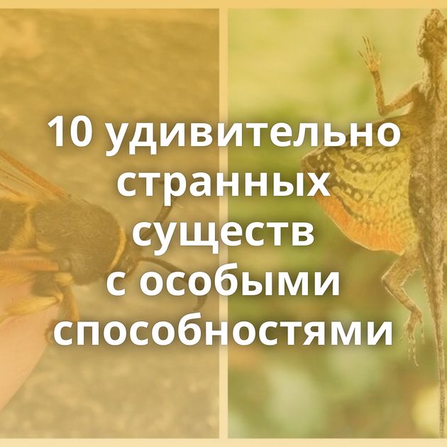 10 удивительно странных существ с особыми способностями