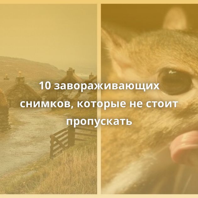 10 завораживающих снимков, которые не стоит пропускать