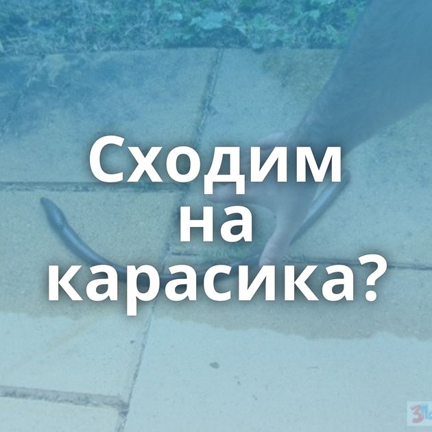 Сходим на карасика?