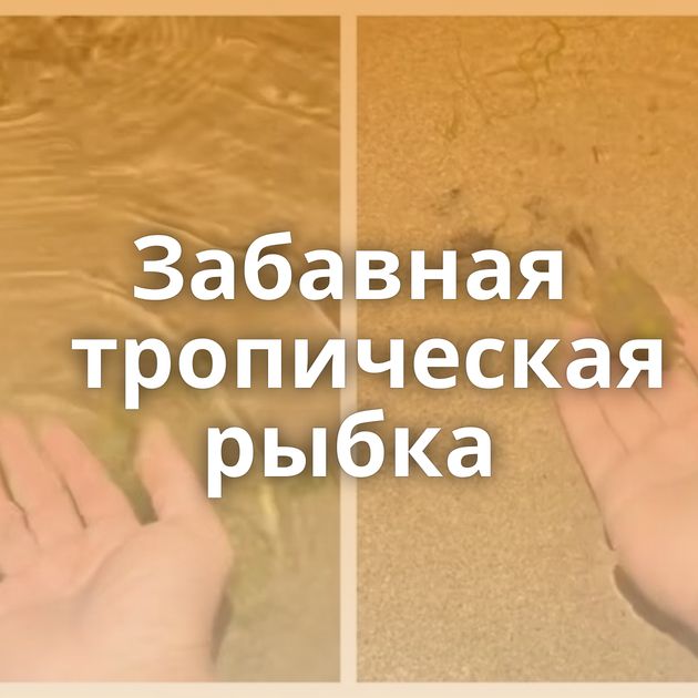 Забавная тропическая рыбка