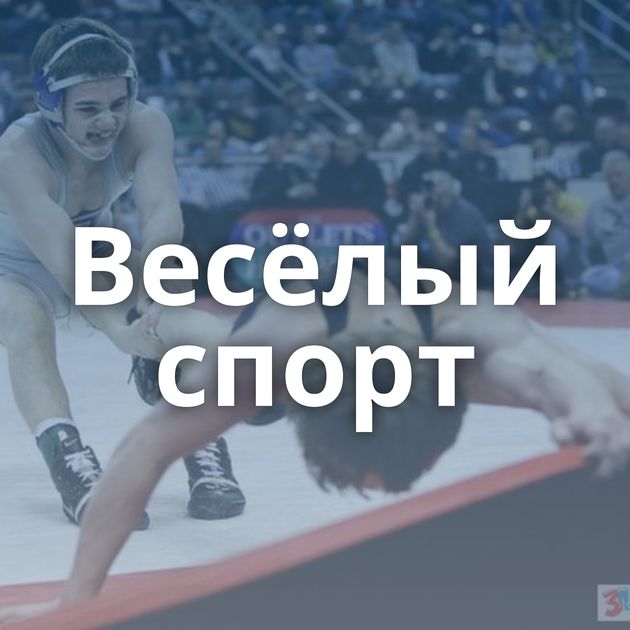 Весёлый спорт