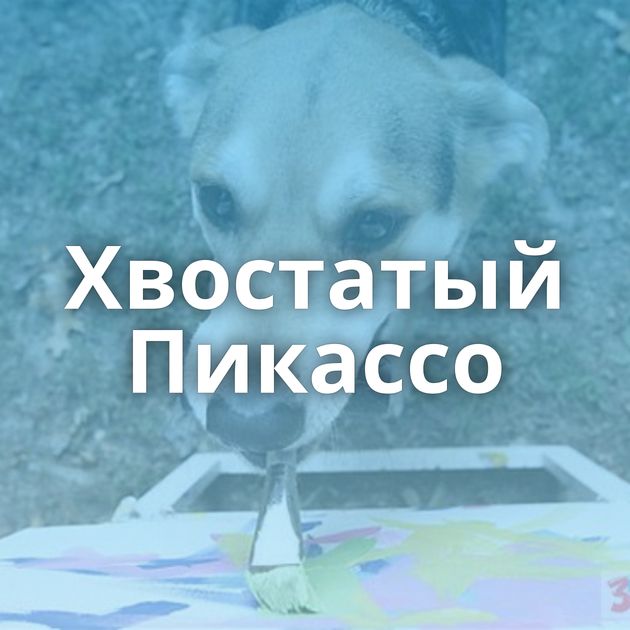 Хвостатый Пикассо