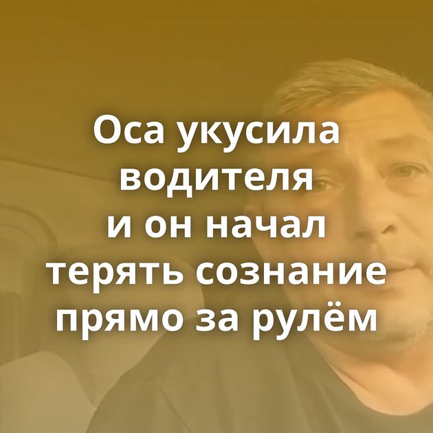 Оса укусила водителя и он начал терять сознание прямо за рулём